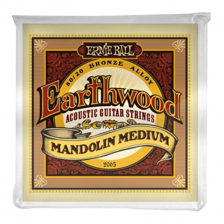 Ernie Ball 2065 Earthwood Mandolin Medium Terminate