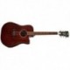 D'Angelico Premier Lexington Mahogany satin