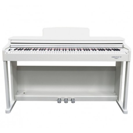 Echord DPX100B White